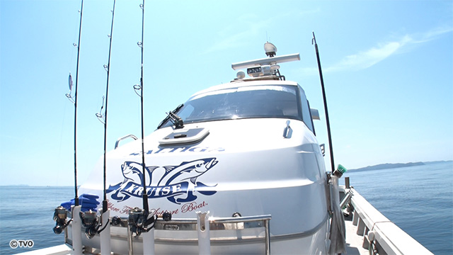 external_image