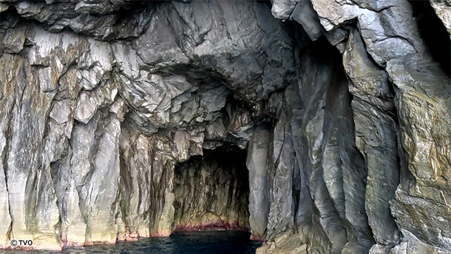external_image