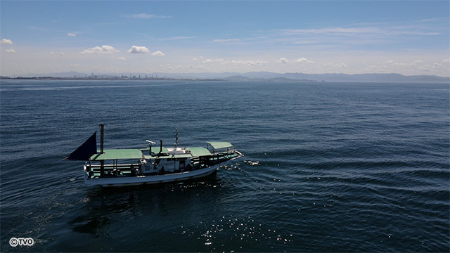external_image