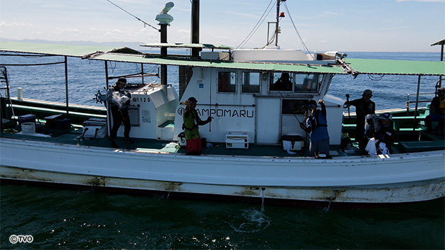 external_image