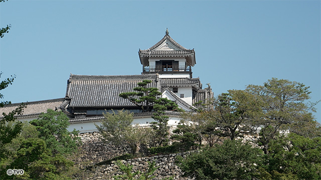 external_image