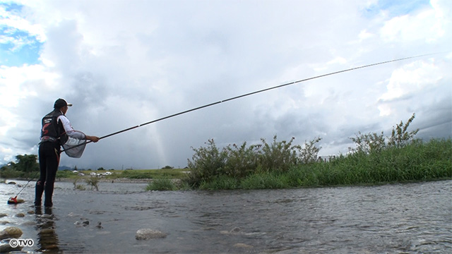 external_image