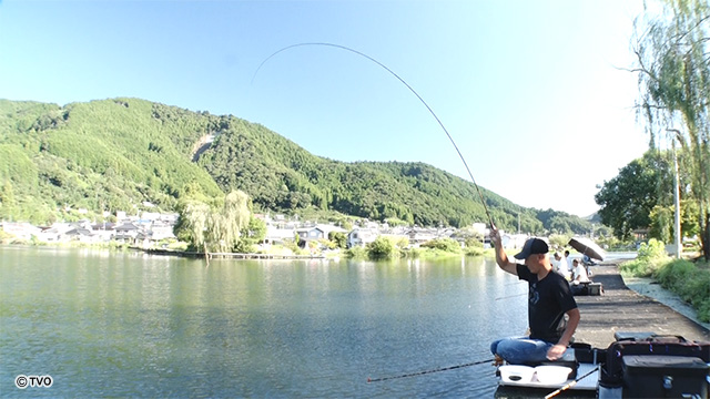 external_image