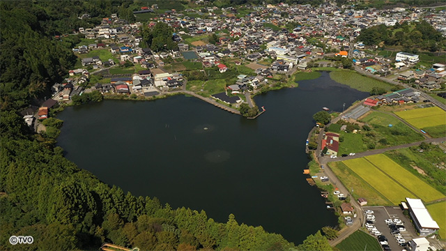 external_image