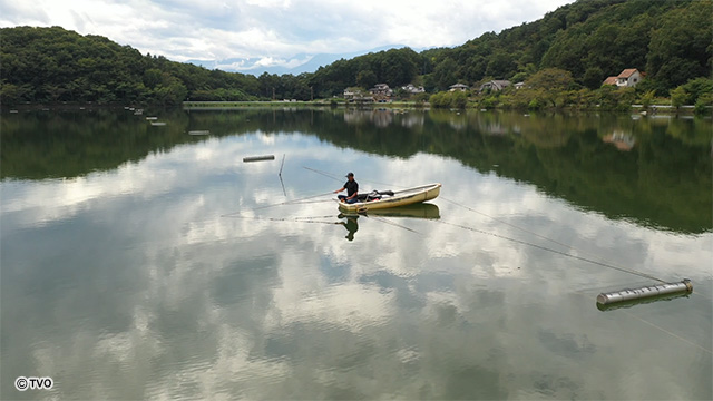 external_image