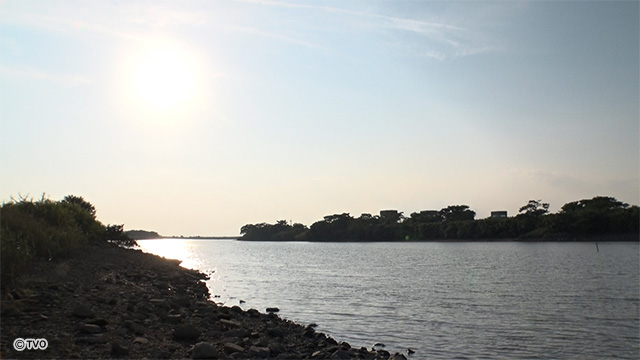 external_image