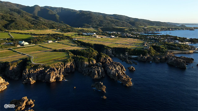 external_image