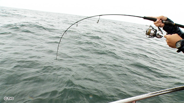 external_image