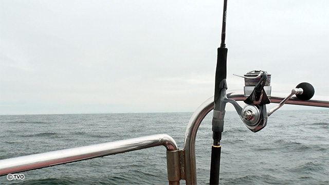 external_image