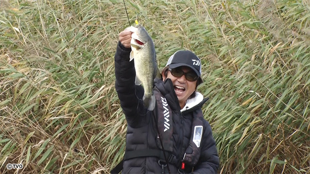 external_image external_image