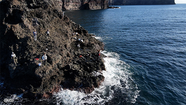 external_image