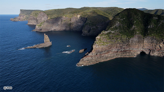 external_image