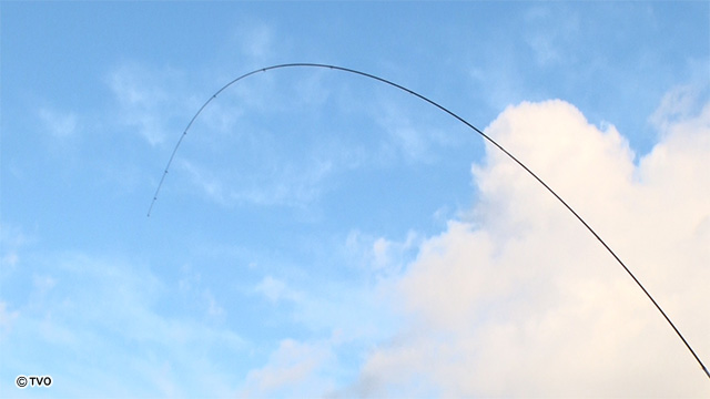 external_image