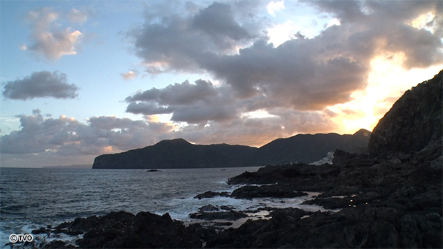 external_image