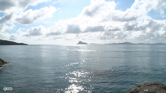 external_image