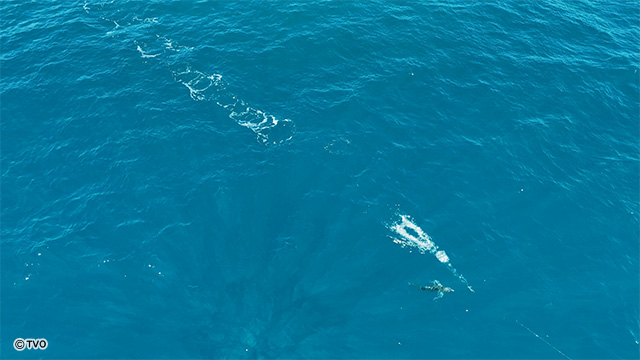 external_image