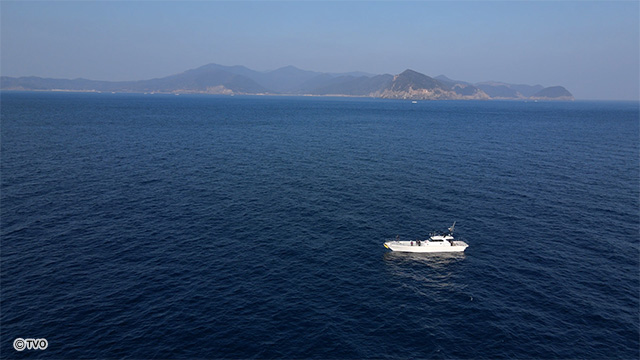 external_image