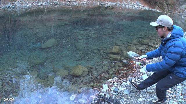 external_image