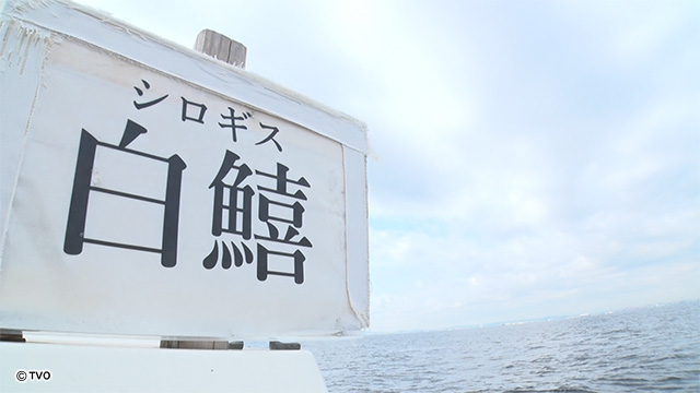 external_image