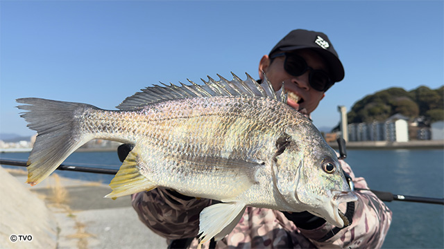 external_image external_image