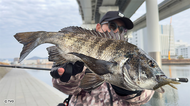 external_image external_image