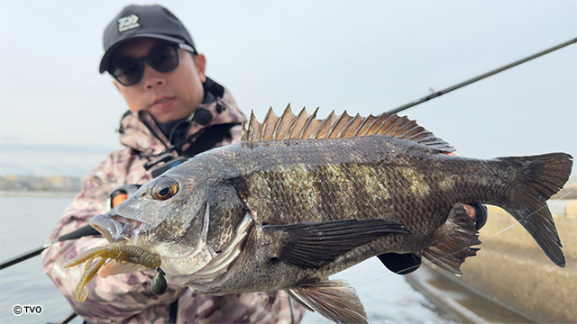 external_image external_image