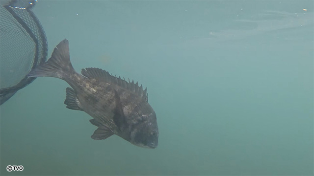 external_image external_image