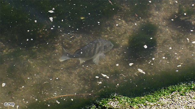 external_image external_image