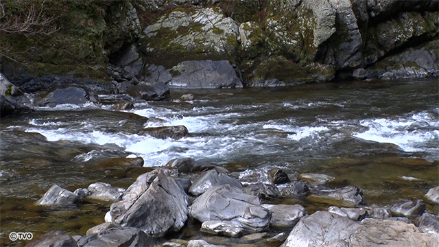 external_image