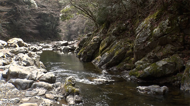 external_image