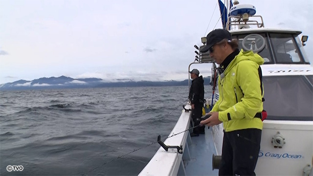 external_image external_image