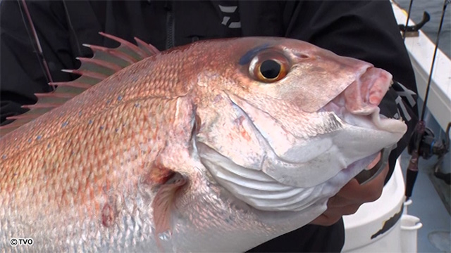 external_image external_image