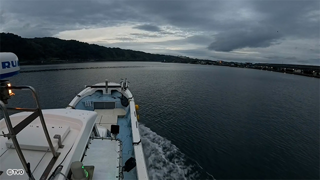 external_image external_image