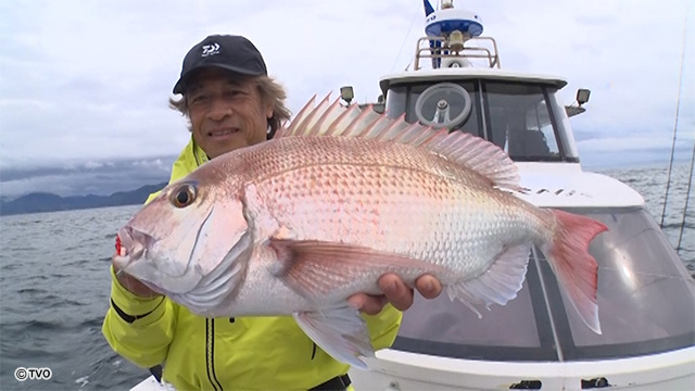 external_image external_image