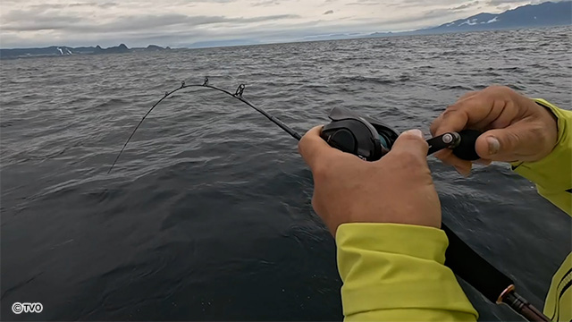 external_image external_image