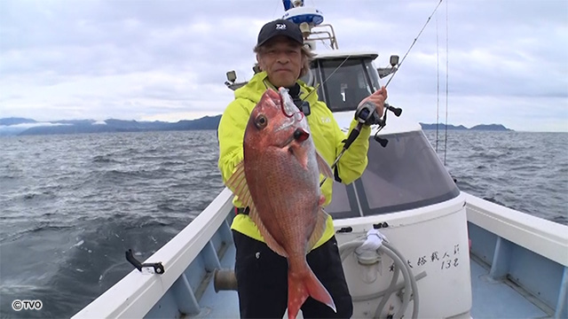 external_image external_image