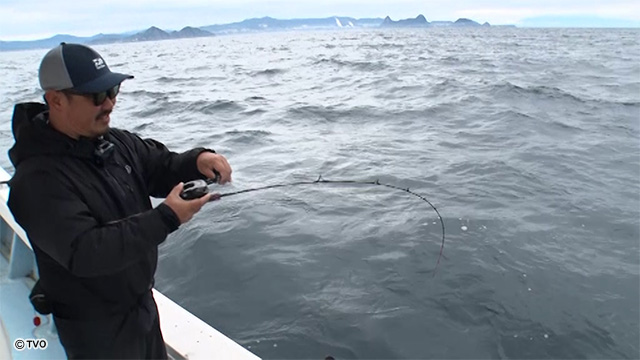 external_image external_image