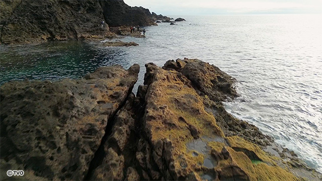 external_image