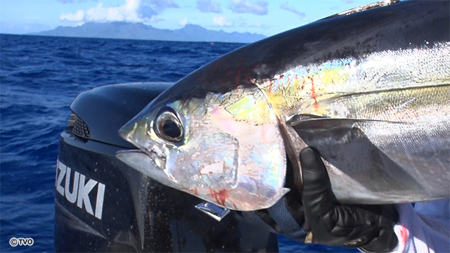 external_image external_image