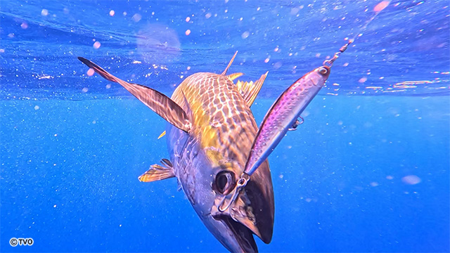 external_image external_image