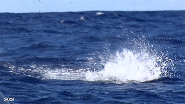 external_image external_image