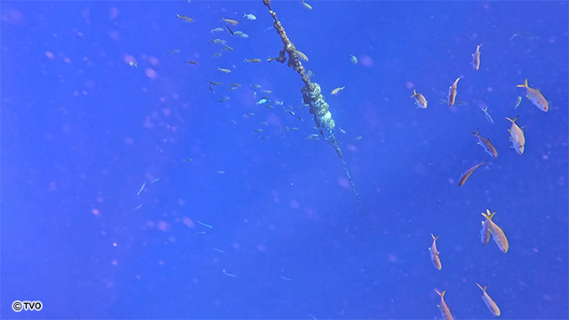 external_image external_image