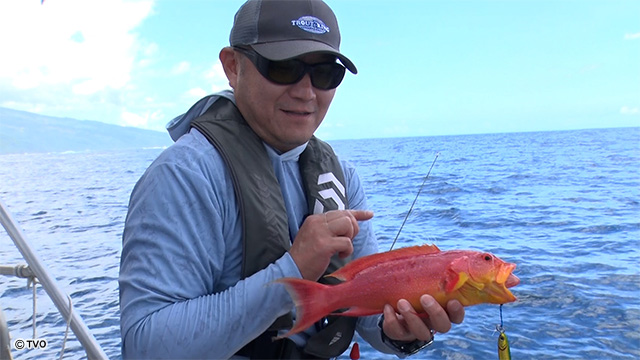 external_image external_image