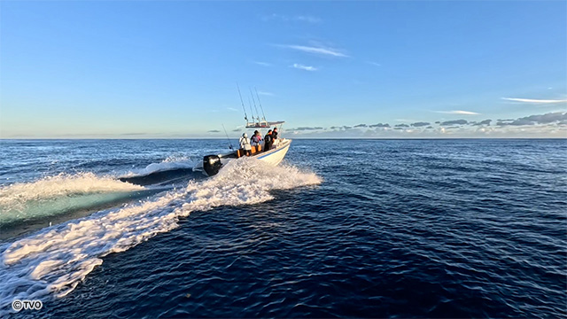 external_image external_image