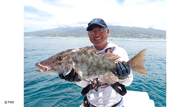 external_image external_image