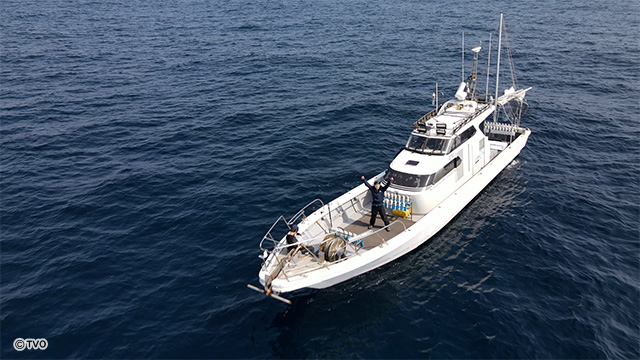 external_image