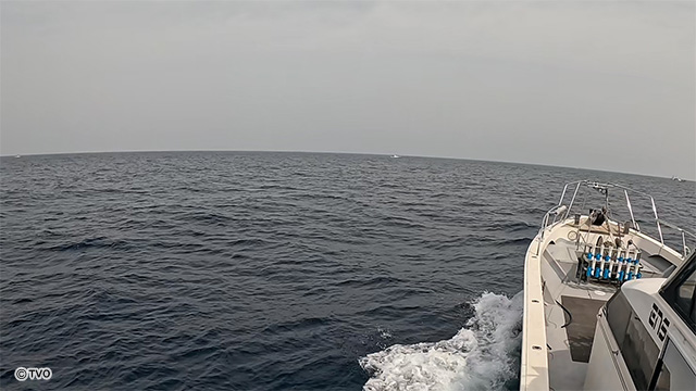 external_image