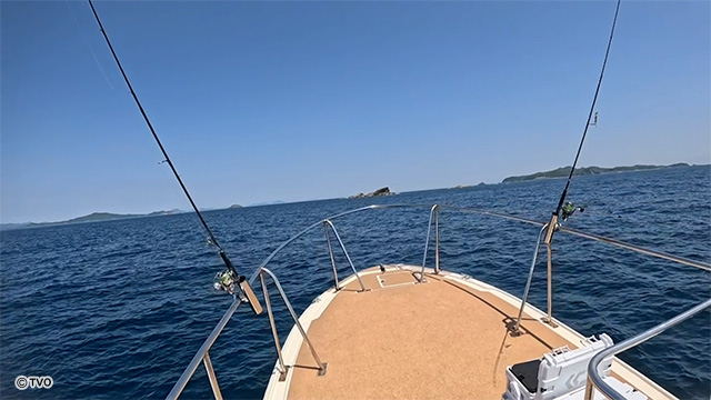external_image