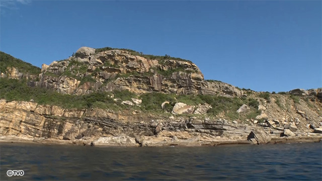 external_image