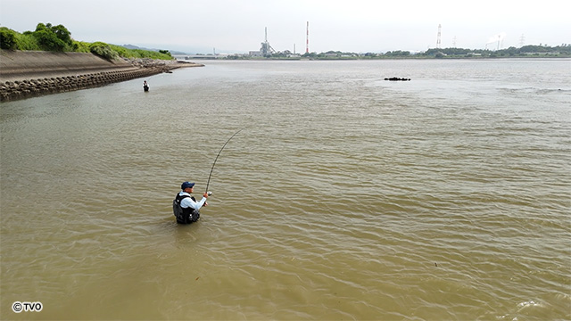 external_image